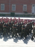 DSCN0345