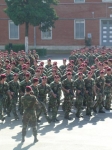 DSCN0346