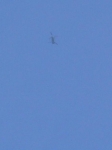 DSCN0354